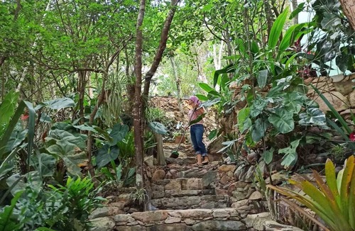 Ibicoara House | Casa da Mata: Rest and tranquility in nature.