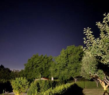 Oza-Cesuras House | Casa da Pipa