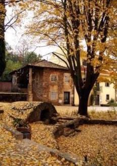 Macedo de Cavaleiros House | Casa da Sofia