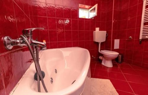 Sighisoara Apartment | Casa Dalia 1
