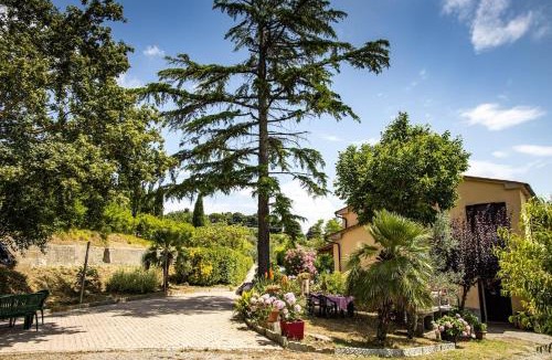 Chianni House | Casa Damiano