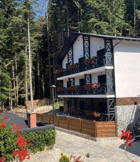 Durau House | Casa Daria