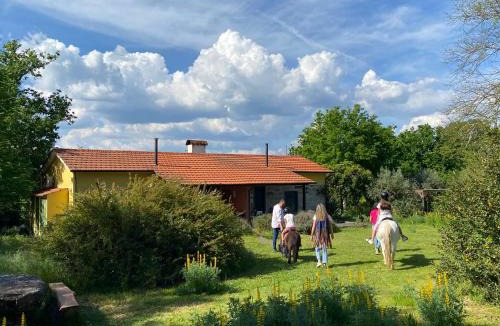 Mangualde House | Casa Das Palmeiras-Pedagogic Farm