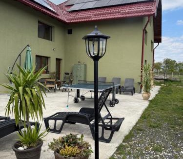 Curatele House | Casa David 13D