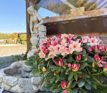 Curatele House | Casa David 13D