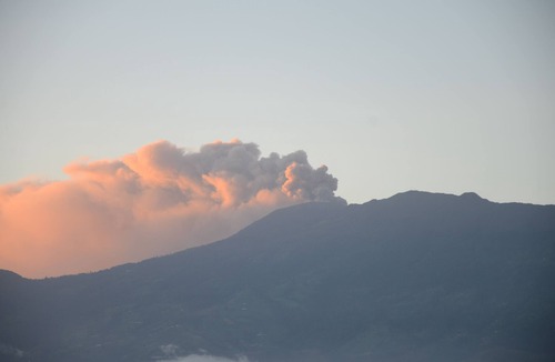 Turrialba Apartment | Casa de la Brujita - Double Room with Kitchenette and Garden Pavilion
