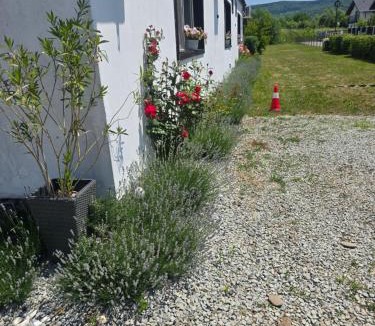Bistrita Hotel | Casa de oaspeti Wallendorf Bistrita Unirea
