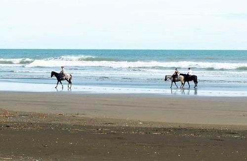 Esterillos Este House | CASA DE ORO OCEANFRONT 5 BEDROOM HOUSE WITH PRIVATE POOL in Costa Rica