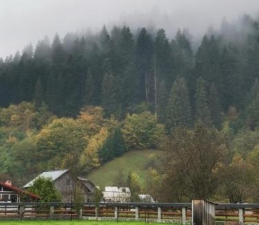 Sucevita Cabin | CASA de POVESTE