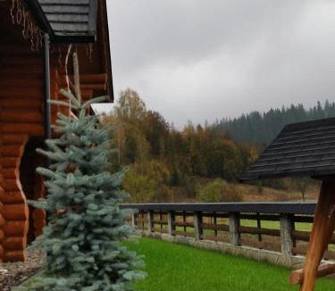 Sucevita Cabin | CASA de POVESTE