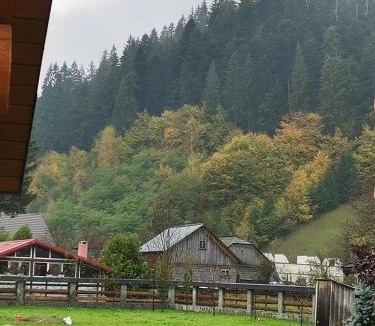 Sucevita Cabin | CASA de POVESTE