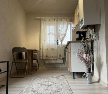 Braila House | Casa de vacanța