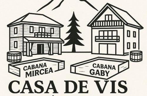 Baisoara Villa | Casa de Vis Băișoara -Cab Mircea -Cab Gaby