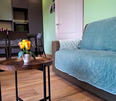 Collegno House | Casa del corso