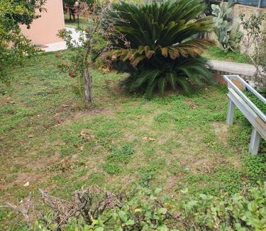 Termoli Apartment | Casa dell'ape Maia