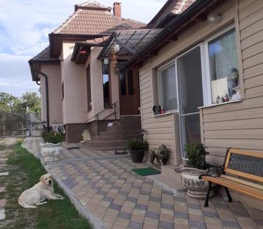 Turda House | Casa Denis