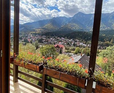 Busteni Villa | Casa di Panico