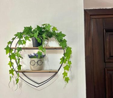 Grisolia House | Casa di Simone