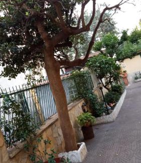 Prenestino-Centocelle Apartment | Casa Diana