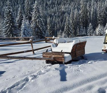 Borsec Other | Casa din Curtea cu cai