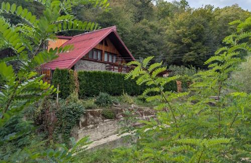 Orsova House | Casa din padure