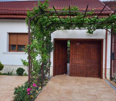 Eselnita House | CASA DIN SAT