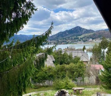 Bistrita Bargaului Cabin | Casa dintre Brazi Colibita