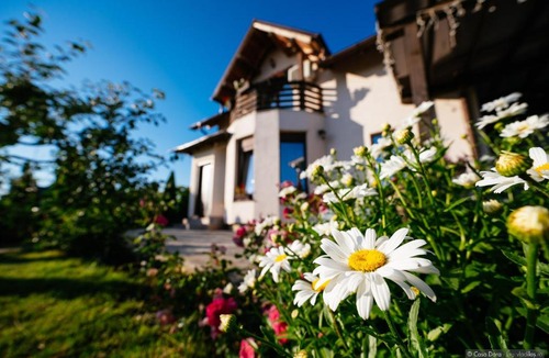Scheia House | Casa Dora