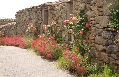 Miranda do Douro House | Casa dos Edras - Family Guest House 16 people