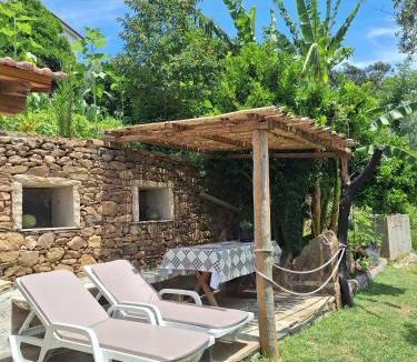 Castro Daire House | Casa dos Pobres