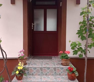 Ciclova Romana House | Casa Dragoi din Socolari, 218, Caras - Severin