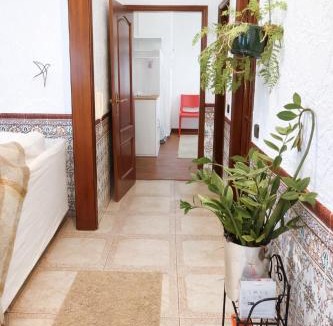 Arega House | Casa Elbi