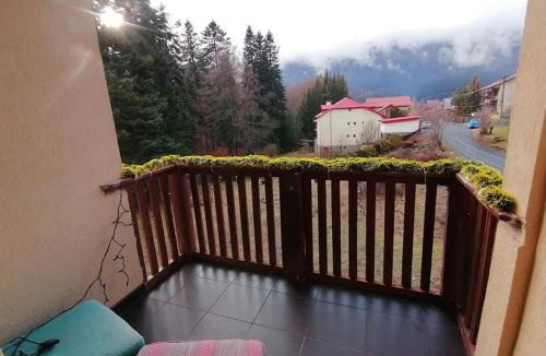 Busteni Villa | Casa EMY Busteni