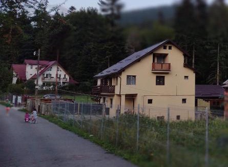 Busteni Villa | Casa EMY Busteni