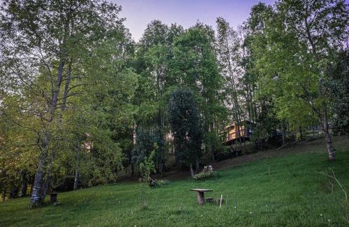 Llifen Ski Chalet | Casa en el Bosque Futrono