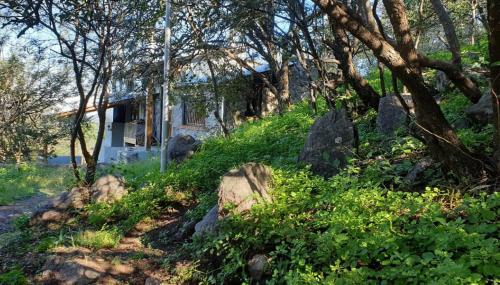 Rio Ceballos Ski Chalet | Casa en las Sierras de Córdoba