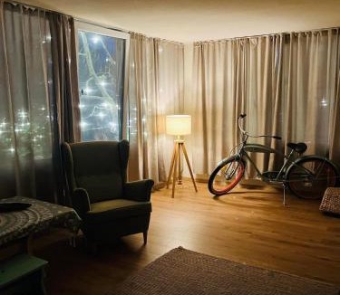 Arad Villa | Casa Enjoy the Ride Aproape de autostradă și totuși în mijlocul naturii, loc deosebit de liniștit cu parcare privată gratuită