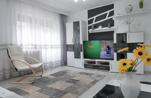 Baile Herculane Villa | Casa Fery