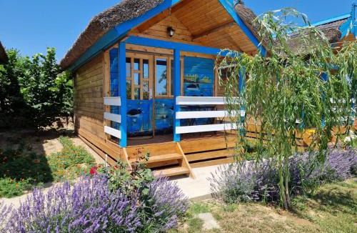 Mahmudia House | Casa Flavia