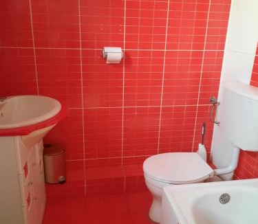 Sincraiu de Mures Apartment | Casa Flavia