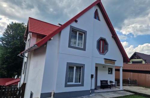 Valiug House | Casa Flavius