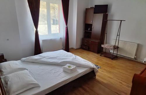 Valiug House | Casa Flavius