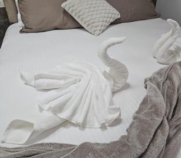 Craiova Apartment | Casa Florescu