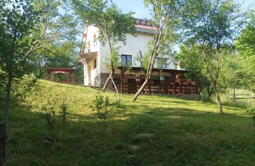 Moisei House | Casa Fluțar
