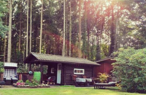 Weißenmoor House | Casa Foresta - minimalistisches 1-Raum Tiny House direkt am Wald