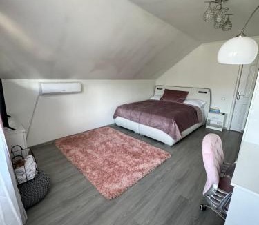 Olteni Villa | Casa Fred