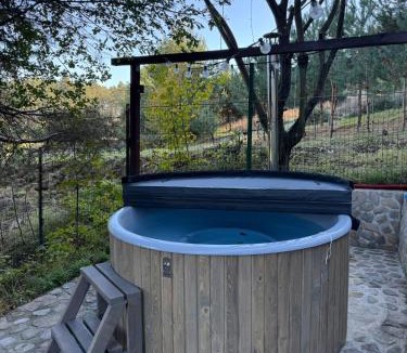 Sacele House | Casa Georgea