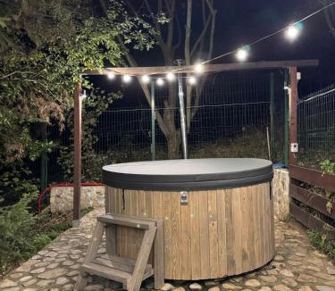 Sacele House | Casa Georgea