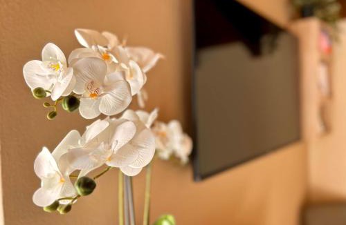 Bracchio Apartment | CASA GIO.ANNA