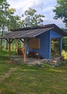 Almasu Mare House | Casa Glod